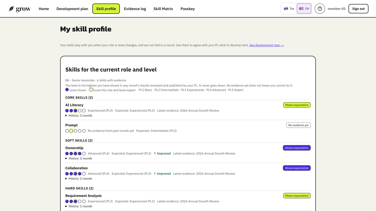 Filled dots show the level you have reached; the ringed dot shows what your current role and level expect.